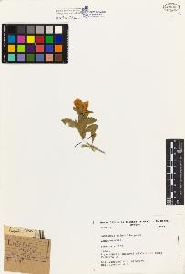 SW_BNB_s3080-01679_IMG-0000000001