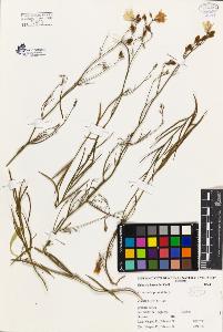 SW_BNB_s3080-01690_IMG-0000000001
