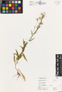 SW_BNB_s3080-01691_IMG-0000000001