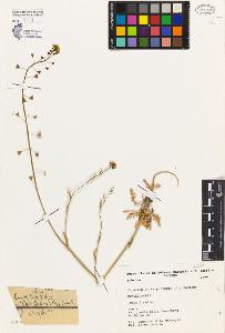SW_BNB_s3080-01694_IMG-0000000001