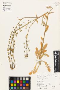 SW_BNB_s3080-01696_IMG-0000000001
