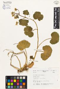 SW_BNB_s3080-01710_IMG-0000000001