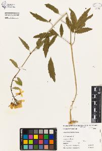 SW_BNB_s3080-01712_IMG-0000000001