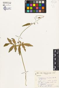 SW_BNB_s3080-01714_IMG-0000000001
