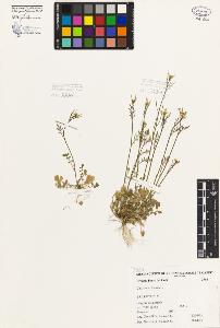 SW_BNB_s3080-01718_IMG-0000000001