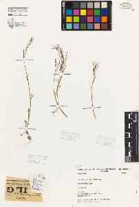 SW_BNB_s3080-01719_IMG-0000000001