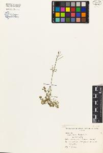 SW_BNB_s3080-01720_IMG-0000000001