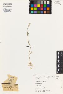 SW_BNB_s3080-01721_IMG-0000000001