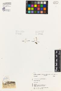 SW_BNB_s3080-01730_IMG-0000000001
