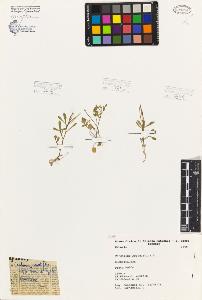 SW_BNB_s3080-01731_IMG-0000000001
