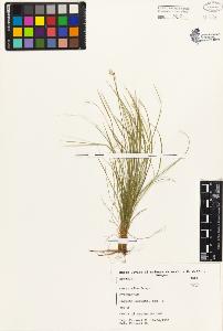 SW_BNB_s3080-01737_IMG-0000000001