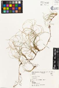 SW_BNB_s3080-01738_IMG-0000000001