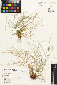 SW_BNB_s3080-01740_IMG-0000000001
