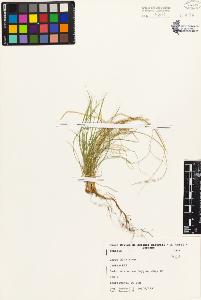 SW_BNB_s3080-01741_IMG-0000000001
