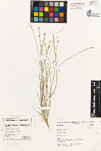 SW_BNB_s3080-01742_IMG-0000000001