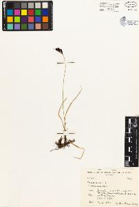 SW_BNB_s3080-01744_IMG-0000000001