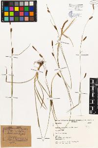 SW_BNB_s3080-01746_IMG-0000000001