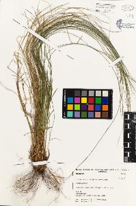 SW_BNB_s3080-01749_IMG-0000000001