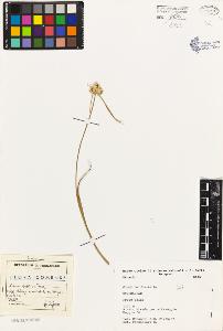 SW_BNB_s3080-01754_IMG-0000000001