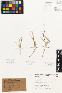 SW_BNB_s3080-01756_IMG-0000000001