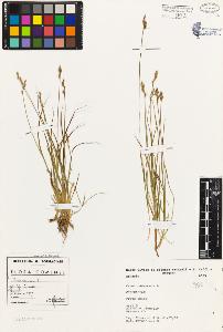 SW_BNB_s3080-01761_IMG-0000000001