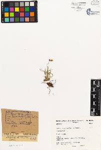 SW_BNB_s3080-01765_IMG-0000000001