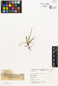 SW_BNB_s3080-01767_IMG-0000000001