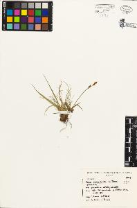 SW_BNB_s3080-01769_IMG-0000000001
