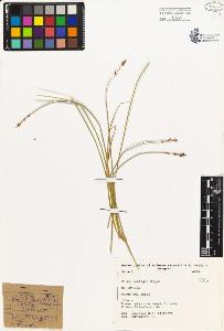 SW_BNB_s3080-01771_IMG-0000000001
