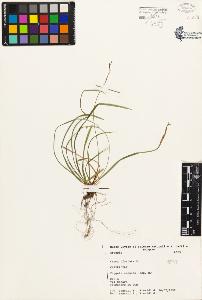 SW_BNB_s3080-01776_IMG-0000000001