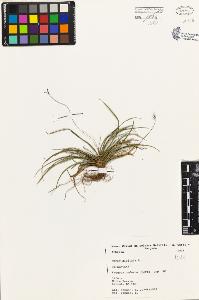 SW_BNB_s3080-01782_IMG-0000000001