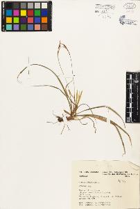 SW_BNB_s3080-01784_IMG-0000000001