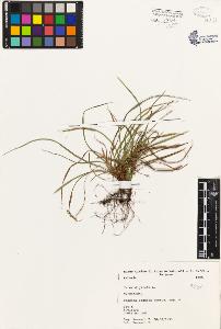 SW_BNB_s3080-01786_IMG-0000000001