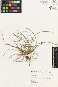 SW_BNB_s3080-01790_IMG-0000000001