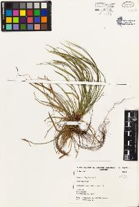 SW_BNB_s3080-01792_IMG-0000000001