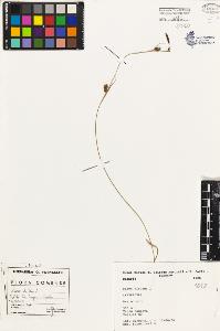 SW_BNB_s3080-01799_IMG-0000000001