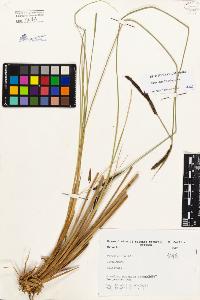 SW_BNB_s3080-01805_IMG-0000000001