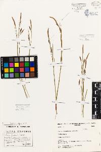 SW_BNB_s3080-01813_IMG-0000000001