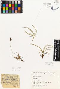 SW_BNB_s3080-01818_IMG-0000000001