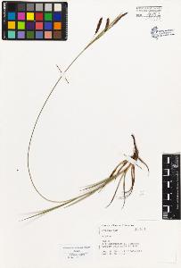 SW_BNB_s3080-01819_IMG-0000000001