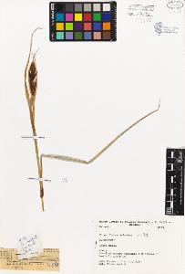 SW_BNB_s3080-01826_IMG-0000000001