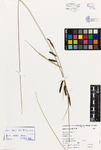 SW_BNB_s3080-01833_IMG-0000000001