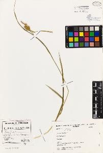 SW_BNB_s3080-01837_IMG-0000000001