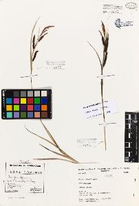 SW_BNB_s3080-01844_IMG-0000000001