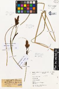 SW_BNB_s3080-01848_IMG-0000000001
