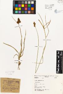 SW_BNB_s3080-01866_IMG-0000000001
