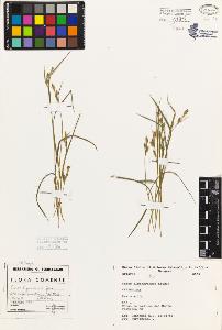 SW_BNB_s3080-01867_IMG-0000000001