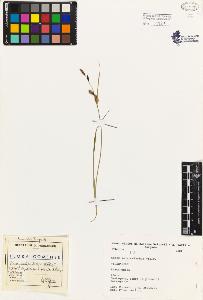 SW_BNB_s3080-01868_IMG-0000000001