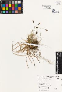 SW_BNB_s3080-01872_IMG-0000000001