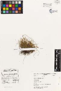 SW_BNB_s3080-01873_IMG-0000000001